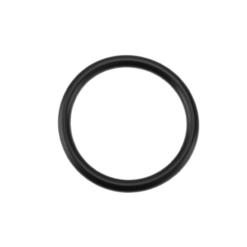 1 Buah 55582541 Cincin Segel T - Tank O-Ring Seal ulasan dan harga